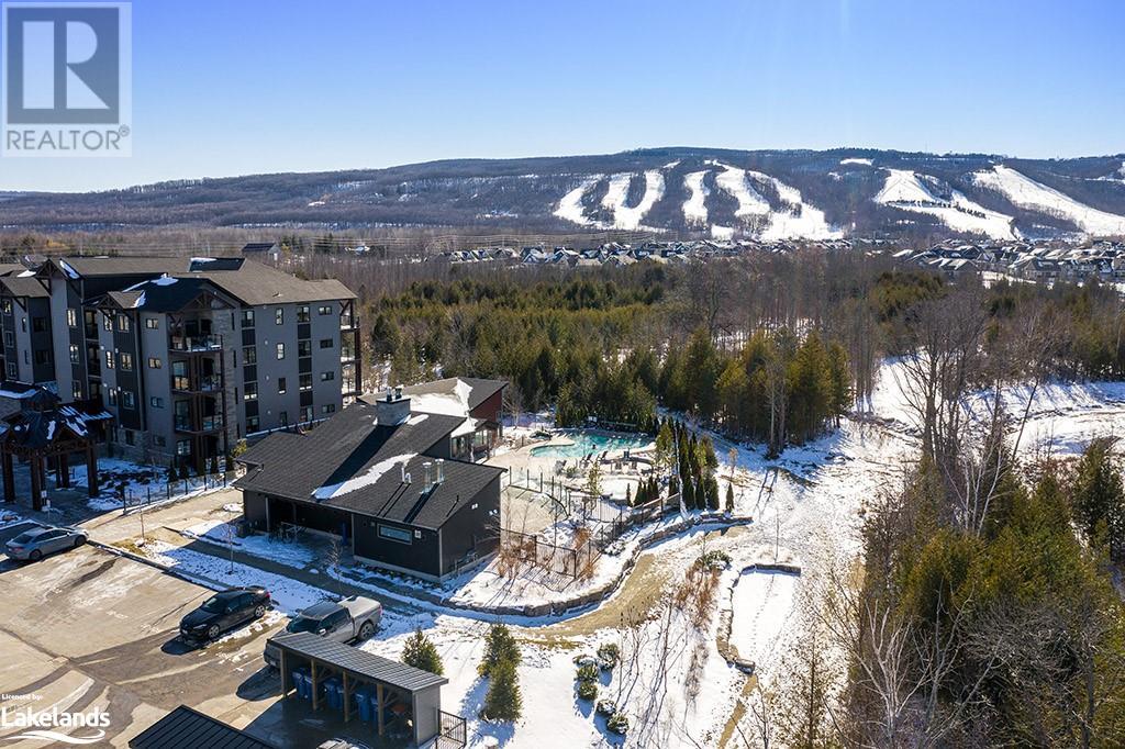 10 Beckwith Lane Unit# 202, The Blue Mountains, Ontario  L9Y 0A4 - Photo 28 - 40260043